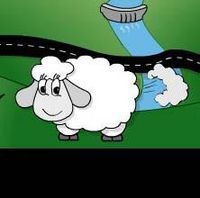 farting sheep