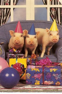 pig-party-time.jpg